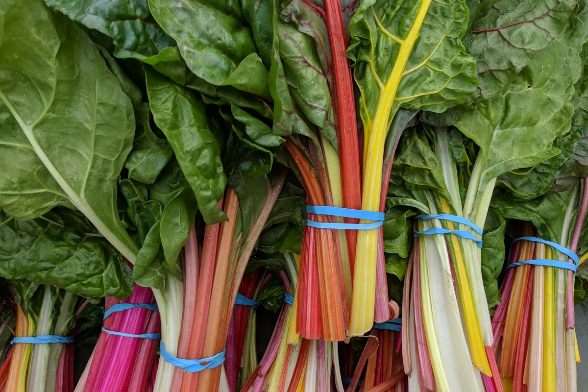 Bunches of rainbow Swiss chard for sale at a farmers market