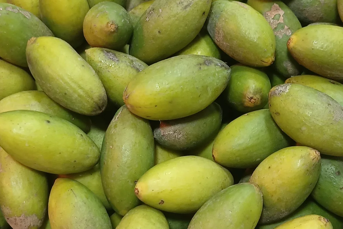 A close-up of whole green olives