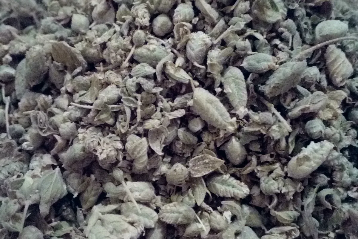 A pile of dried oregano leaves, a practical herb base for homemade za’atar