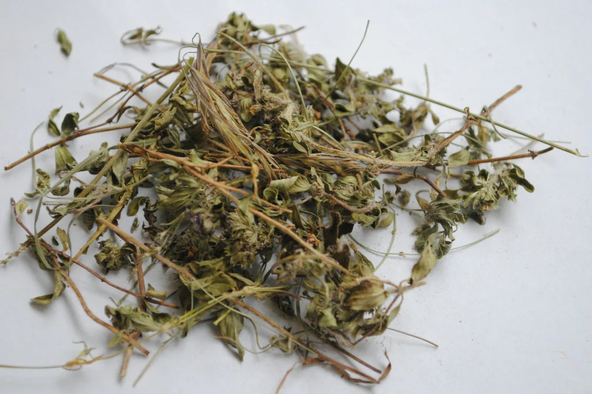 Dried thyme sprigs and leaves on a white background