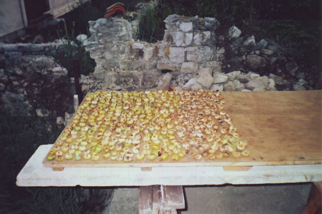 Figs drying
