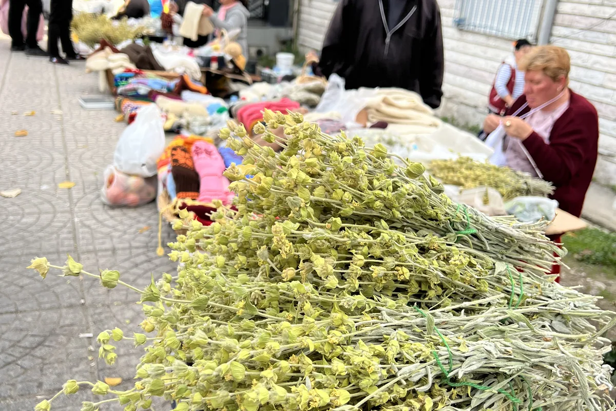 Bundles of dried mountain tea for sale at a Balkan market
