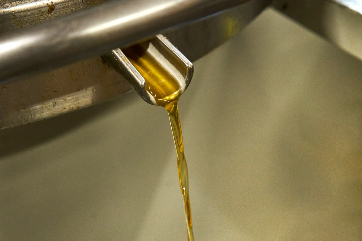 Golden olive oil pouring from a metal spout into a container