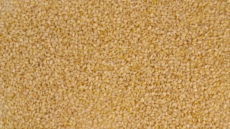 Close-up of golden sesame seeds, the first step in how to toast sesame seeds for pasteli