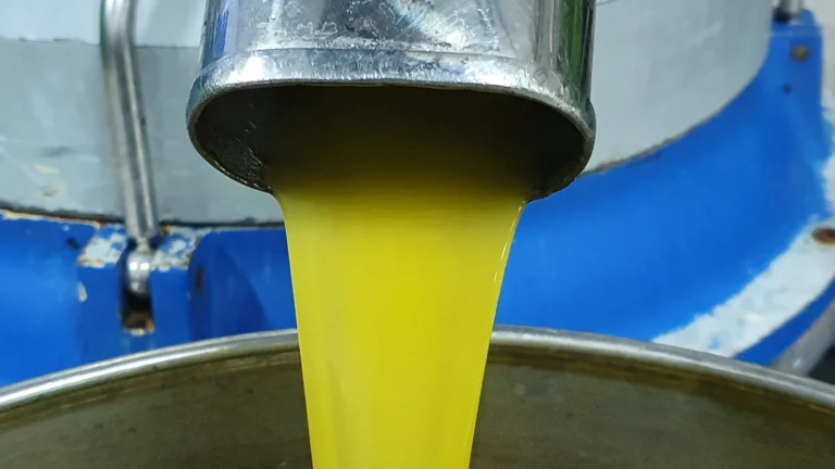 Fresh cloudy olive oil pouring from the mill, showing filtered vs unfiltered Greek olive oil